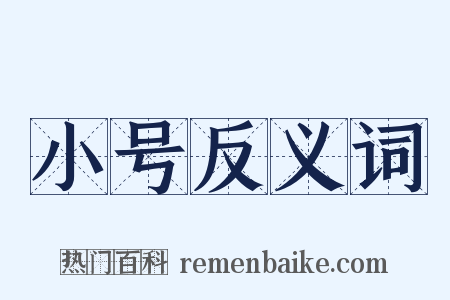 小号反义词是什么意思的图片